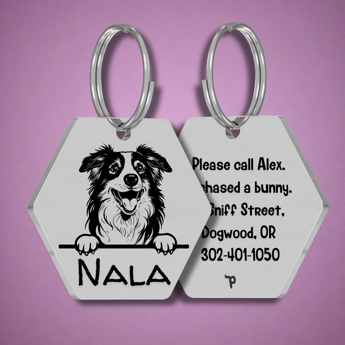 Breed Dog Tag - Australian Shepherd Unique Dog Tag with Peek-a-Boo Portrait
