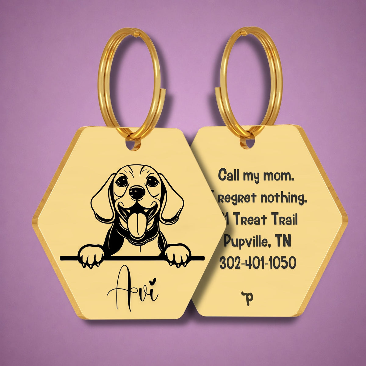 Breed Dog Tag - Beagle Unique Dog Tag with Peek-a-Boo Portrait