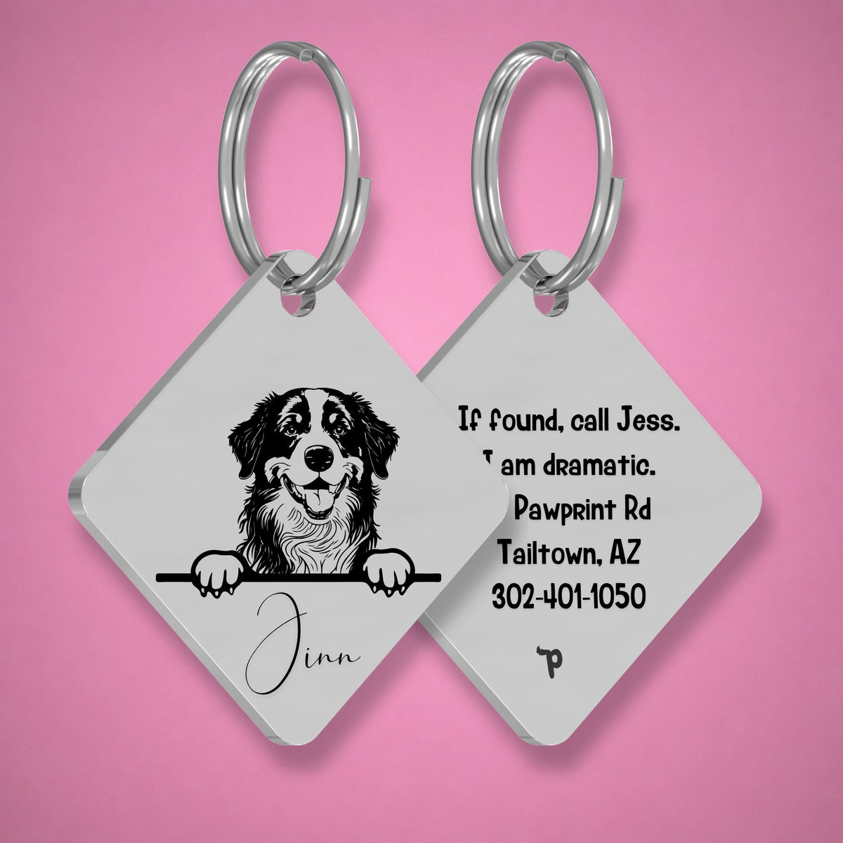 Breed Dog Tag - Bernese Mountain Unique Dog Tag with Peek-a-Boo Portrait
