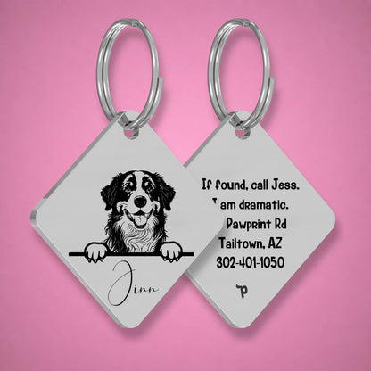 Breed Dog Tag - Bernese Mountain Unique Dog Tag with Peek-a-Boo Portrait