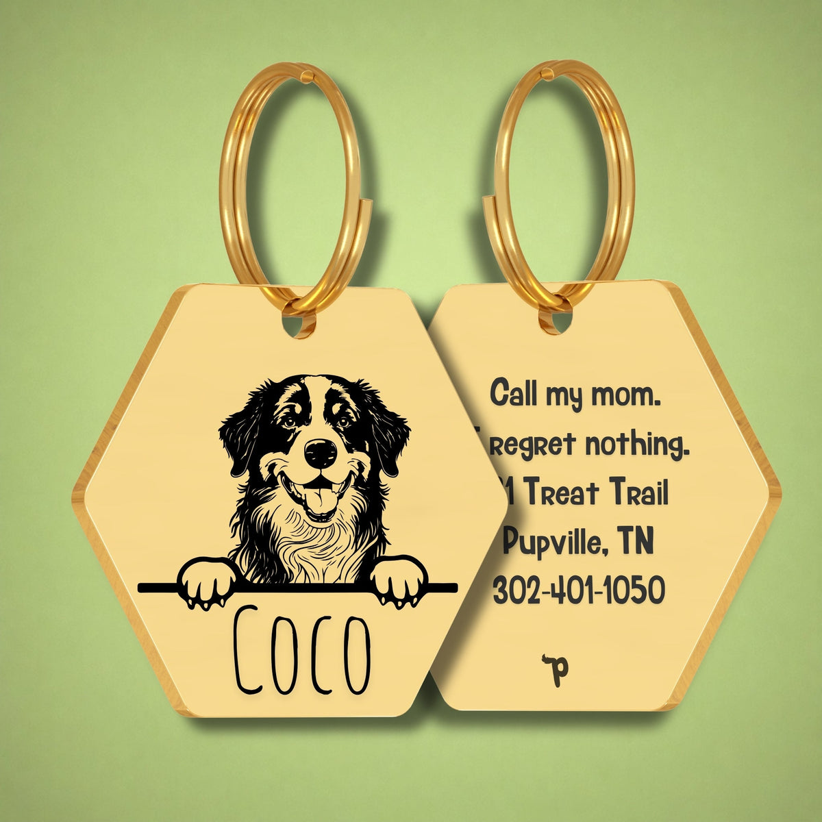Breed Dog Tag - Bernese Mountain Unique Dog Tag with Peek-a-Boo Portrait