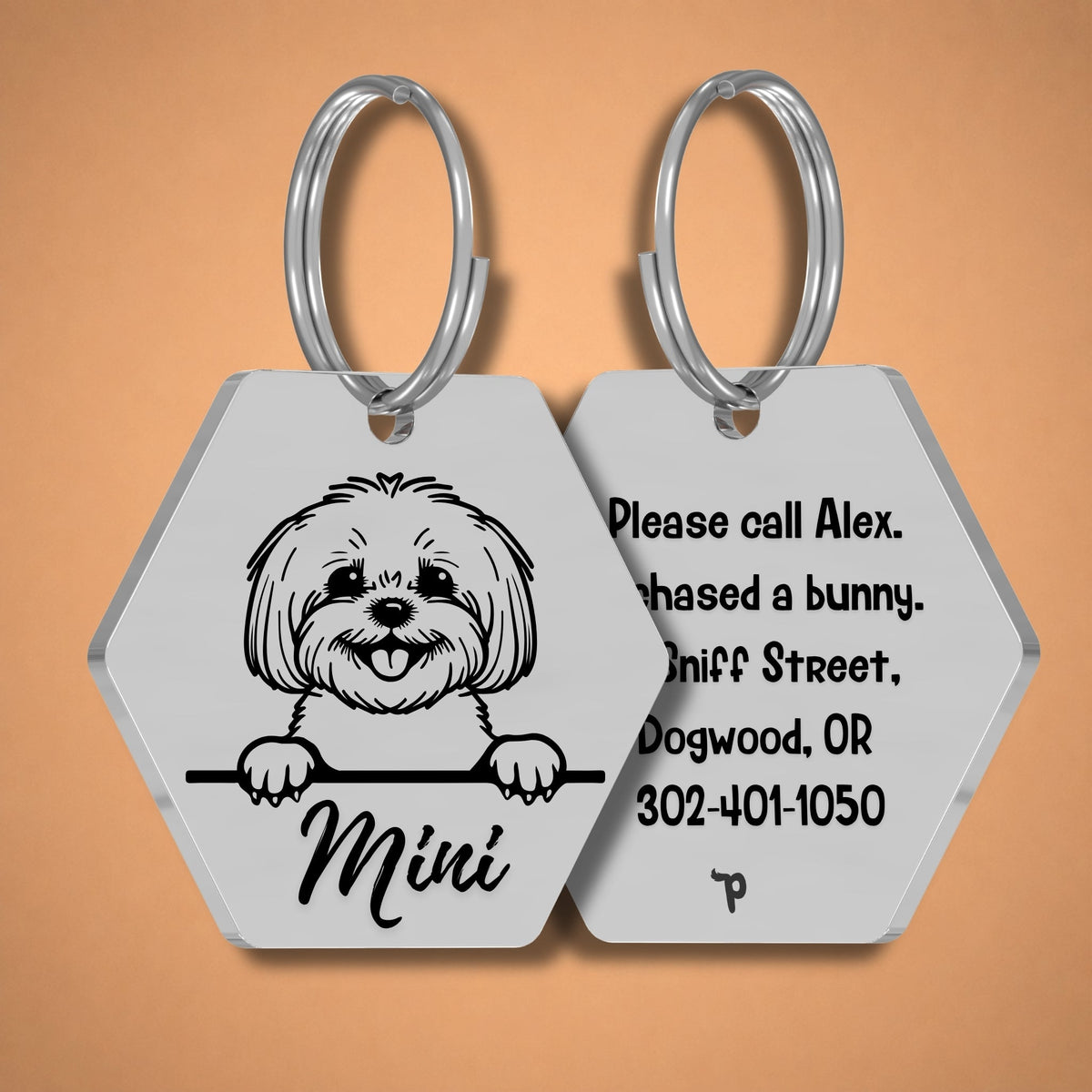 Breed Dog Tag - Bichon Unique Dog Tag with Peek-a-Boo Portrait