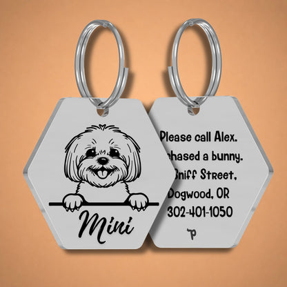 Breed Dog Tag - Bichon Unique Dog Tag with Peek-a-Boo Portrait