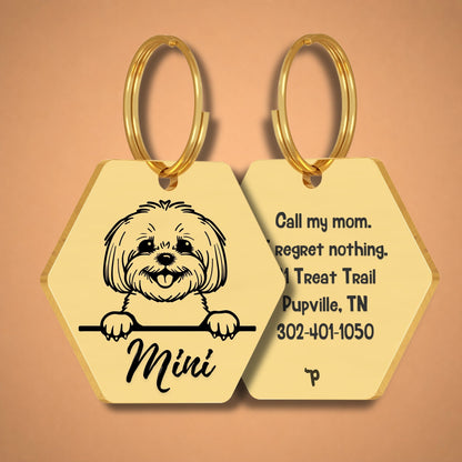 Breed Dog Tag - Bichon Unique Dog Tag with Peek-a-Boo Portrait