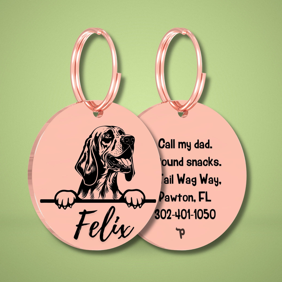 Breed Dog Tag - Bloodhound Unique Dog Tag with Peek-a-Boo Portrait