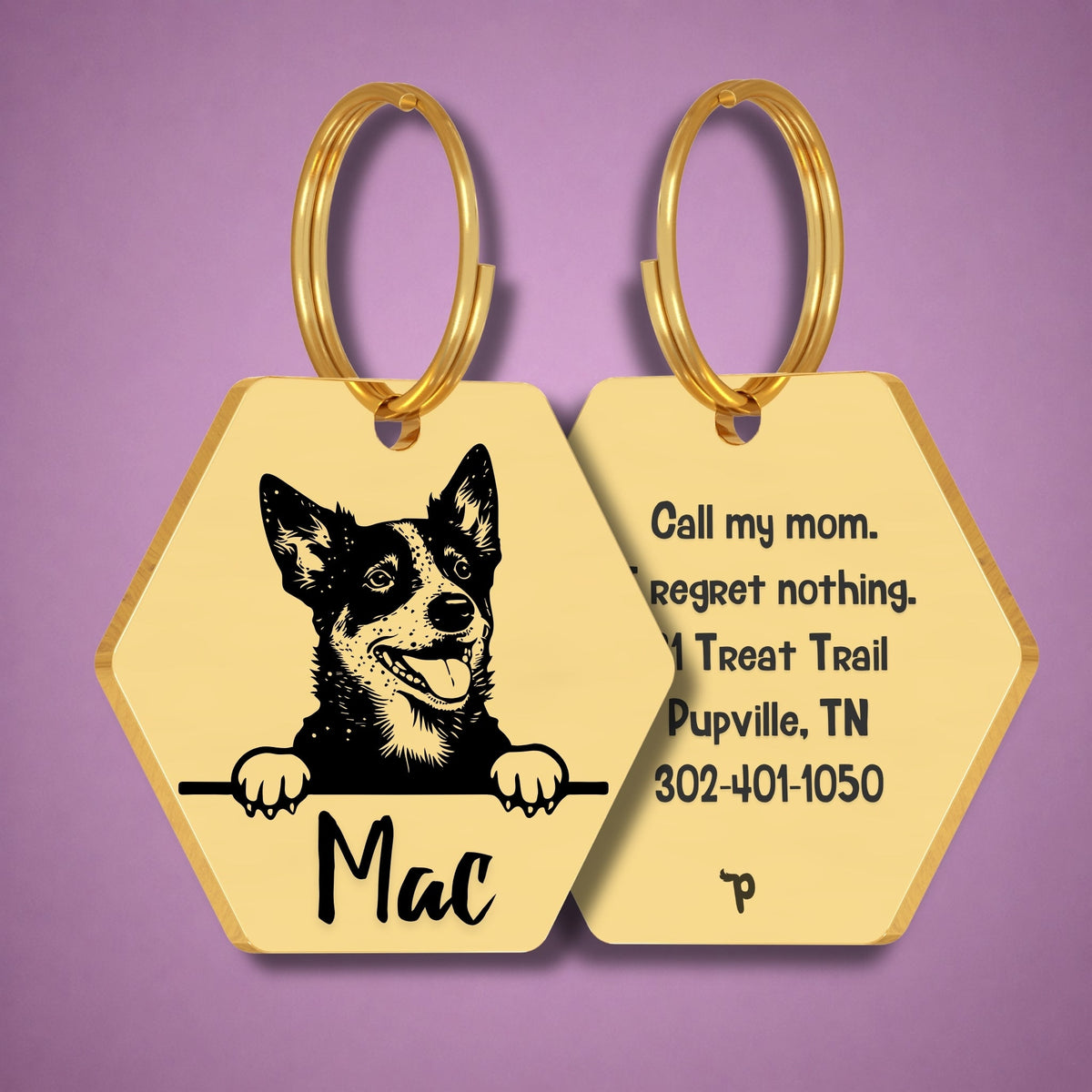 Breed Dog Tag - Blue Heeler Unique Dog Tag with Peek-a-Boo Portrait