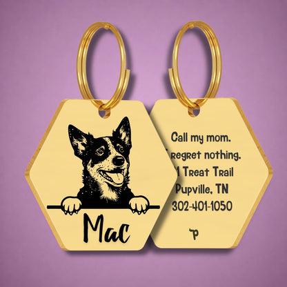 Breed Dog Tag - Blue Heeler Unique Dog Tag with Peek-a-Boo Portrait