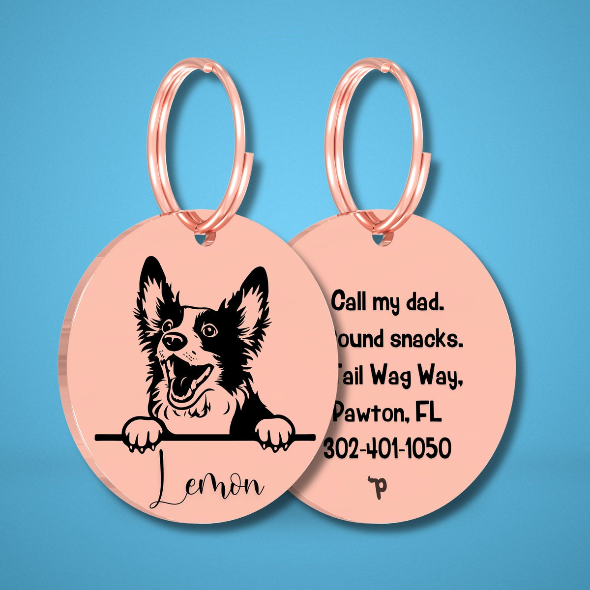 Breed Dog Tag - Bobtail Unique Dog Tag with Peek-a-Boo Portrait