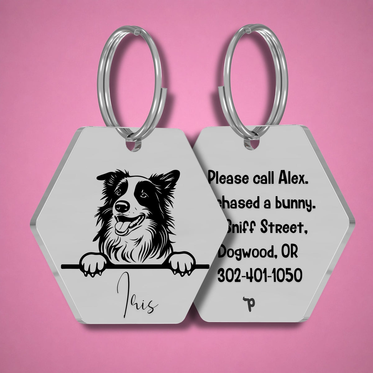 Breed Dog Tag - Border Collie Unique Dog Tag with Peek-a-Boo Portrait