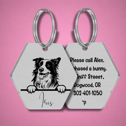 Breed Dog Tag - Border Collie Unique Dog Tag with Peek-a-Boo Portrait