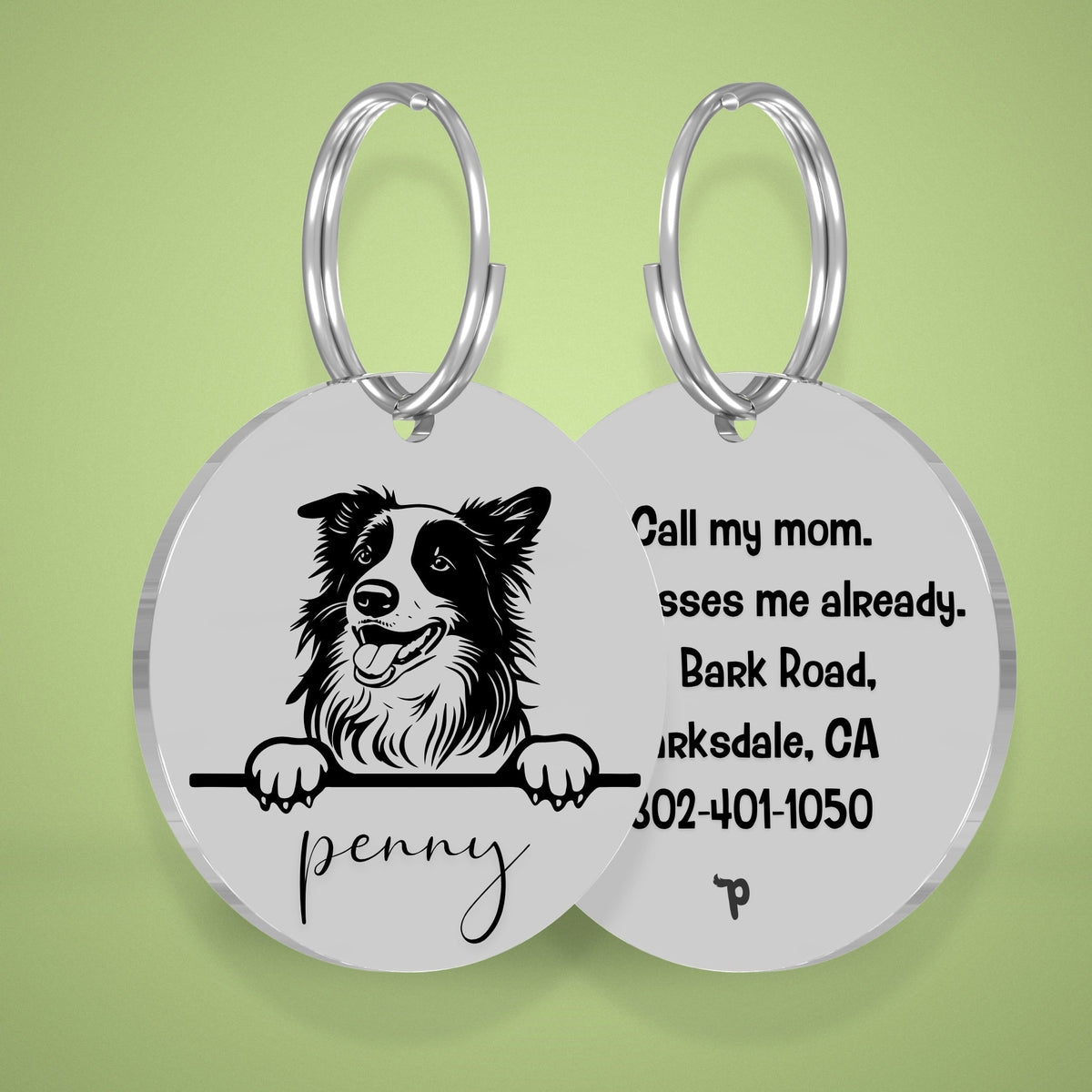 Breed Dog Tag - Border Collie Unique Dog Tag with Peek-a-Boo Portrait
