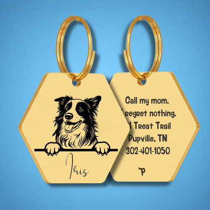 Breed Dog Tag - Border Collie Unique Dog Tag with Peek-a-Boo Portrait