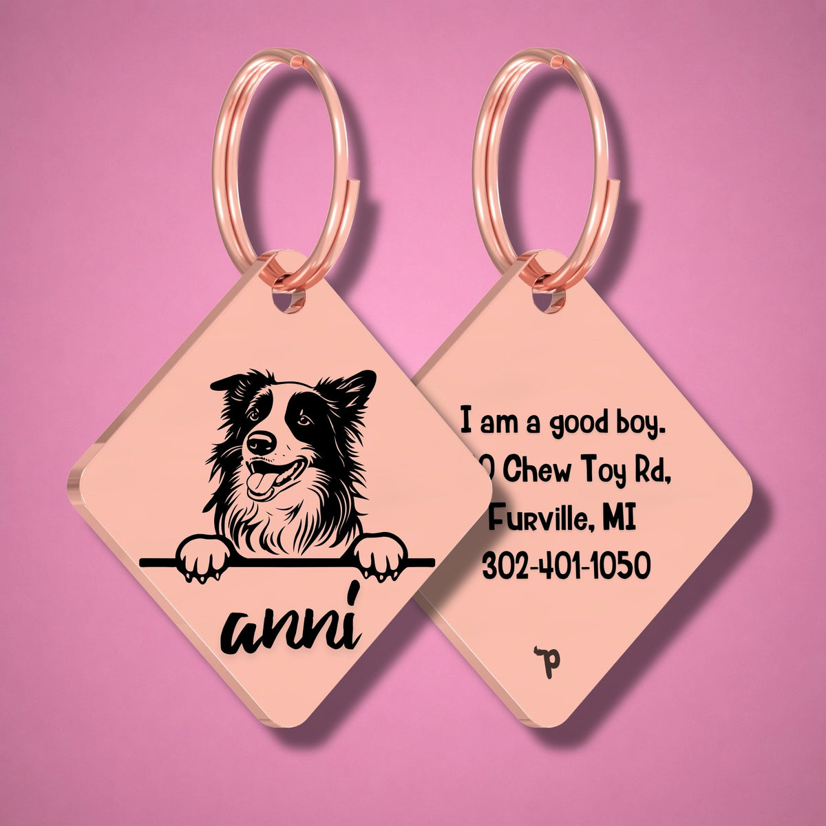 Breed Dog Tag - Border Collie Unique Dog Tag with Peek-a-Boo Portrait