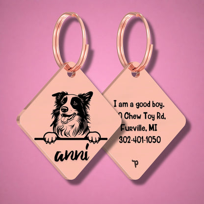 Breed Dog Tag - Border Collie Unique Dog Tag with Peek-a-Boo Portrait