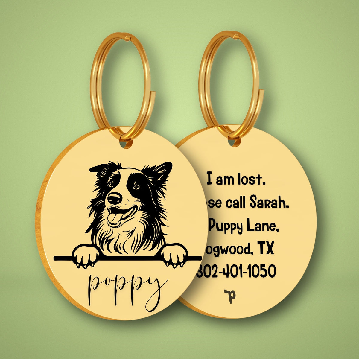 Breed Dog Tag - Border Collie Unique Dog Tag with Peek-a-Boo Portrait