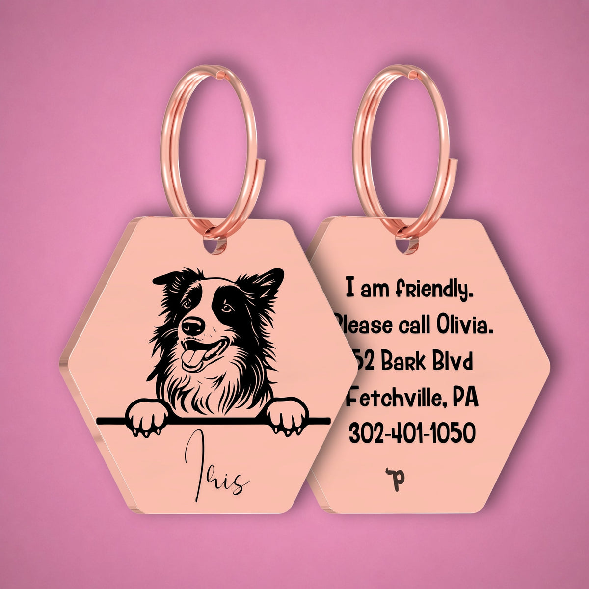 Breed Dog Tag - Border Collie Unique Dog Tag with Peek-a-Boo Portrait