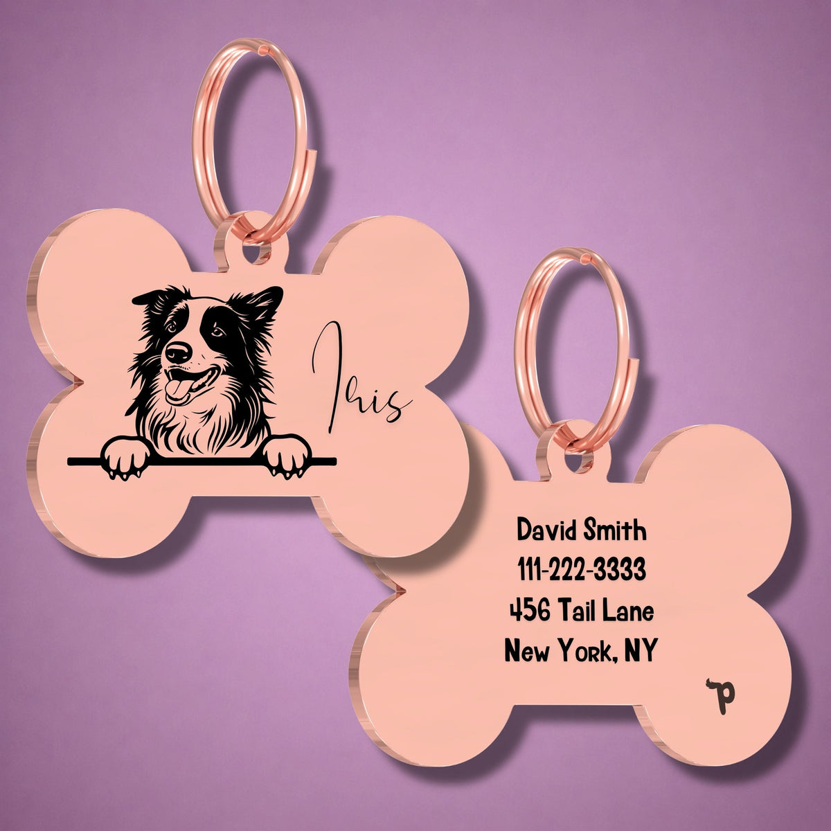Breed Dog Tag - Border Collie Unique Dog Tag with Peek-a-Boo Portrait