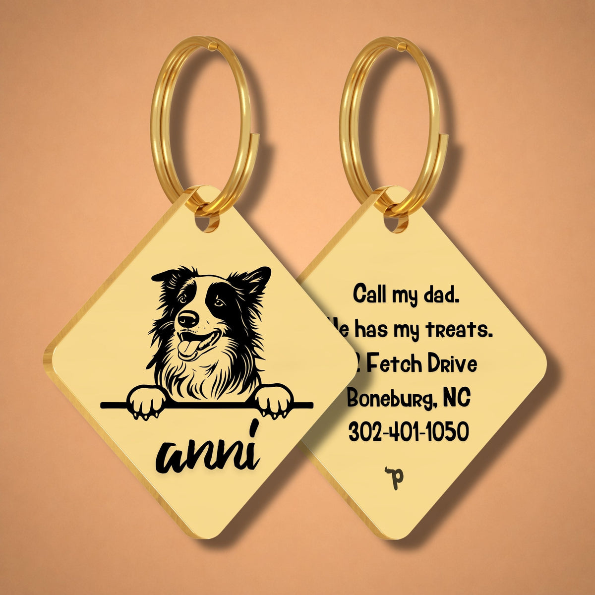 Breed Dog Tag - Border Collie Unique Dog Tag with Peek-a-Boo Portrait