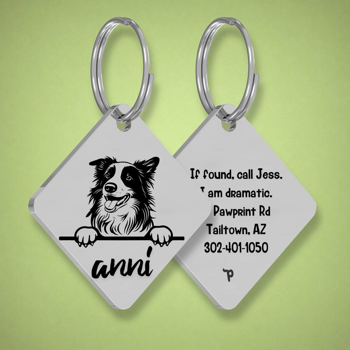 Breed Dog Tag - Border Collie Unique Dog Tag with Peek-a-Boo Portrait