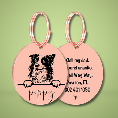Breed Dog Tag - Border Collie Unique Dog Tag with Peek-a-Boo Portrait