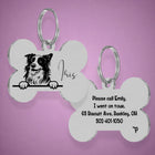Border Collie Unique Dog Tag with Peek-a-Boo Portrait