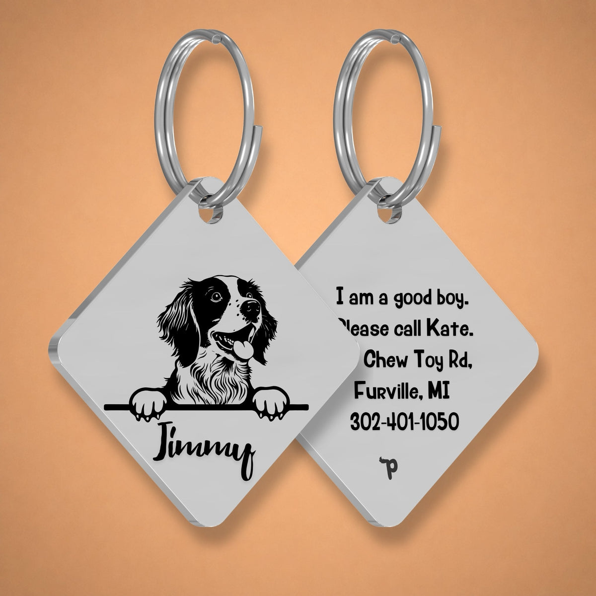 Breed Dog Tag - Brittany Spaniel Unique Dog Tag with Peek-a-Boo Portrait