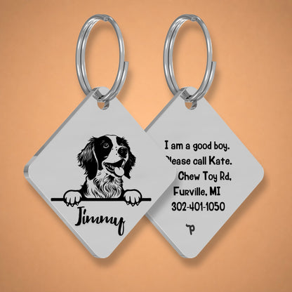 Breed Dog Tag - Brittany Spaniel Unique Dog Tag with Peek-a-Boo Portrait