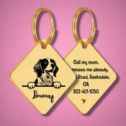 Breed Dog Tag - Brittany Spaniel Unique Dog Tag with Peek-a-Boo Portrait