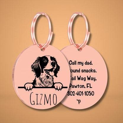 Breed Dog Tag - Brittany Spaniel Unique Dog Tag with Peek-a-Boo Portrait
