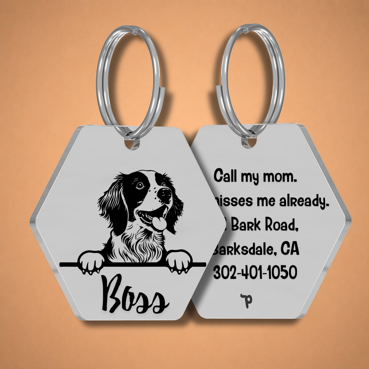 Breed Dog Tag - Brittany Spaniel Unique Dog Tag with Peek-a-Boo Portrait