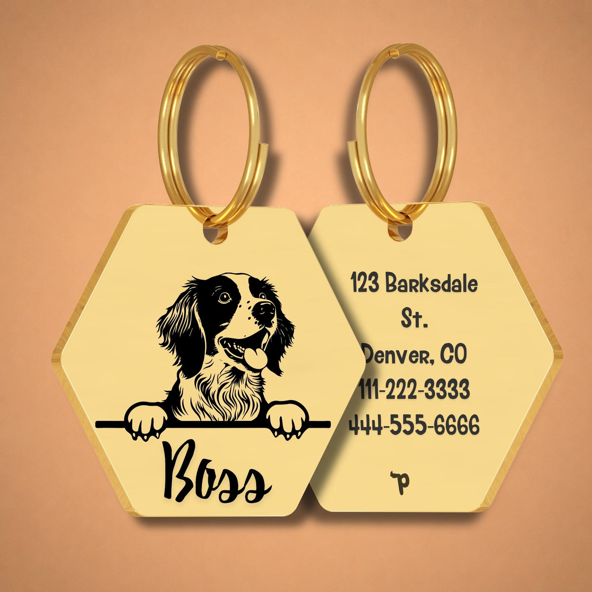 Breed Dog Tag - Brittany Spaniel Unique Dog Tag with Peek-a-Boo Portrait