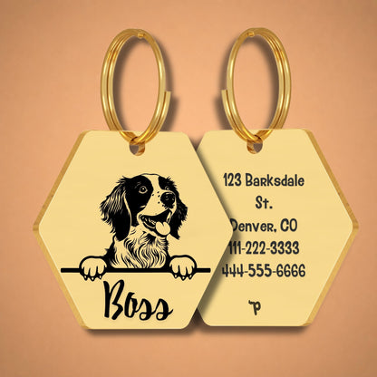 Breed Dog Tag - Brittany Spaniel Unique Dog Tag with Peek-a-Boo Portrait