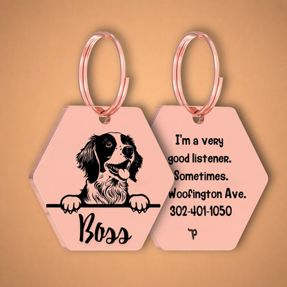 Breed Dog Tag - Brittany Spaniel Unique Dog Tag with Peek-a-Boo Portrait