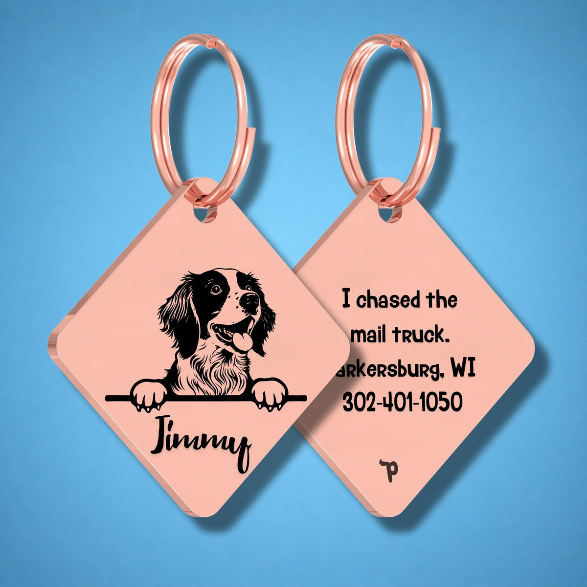 Breed Dog Tag - Brittany Spaniel Unique Dog Tag with Peek-a-Boo Portrait