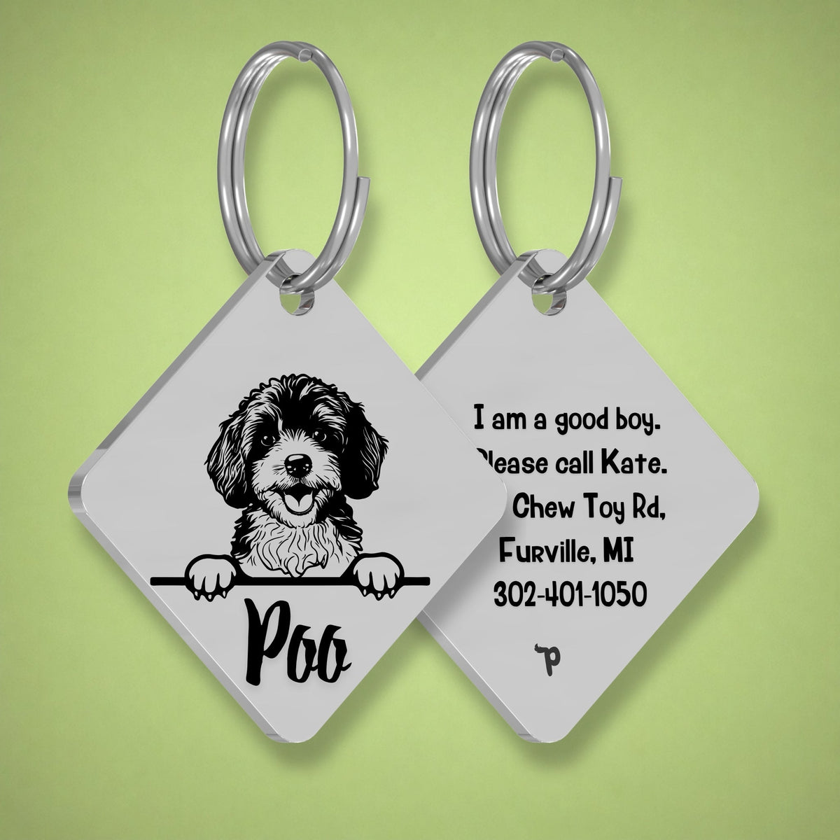 Breed Dog Tag - Cavapoo Unique Dog Tag with Peek-a-Boo Portrait