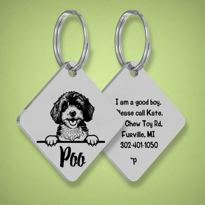 Breed Dog Tag - Cavapoo Unique Dog Tag with Peek-a-Boo Portrait