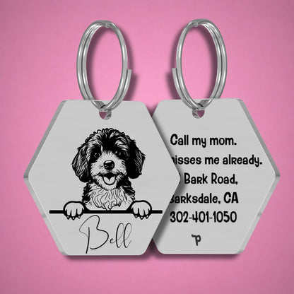 Breed Dog Tag - Cavapoo Unique Dog Tag with Peek-a-Boo Portrait