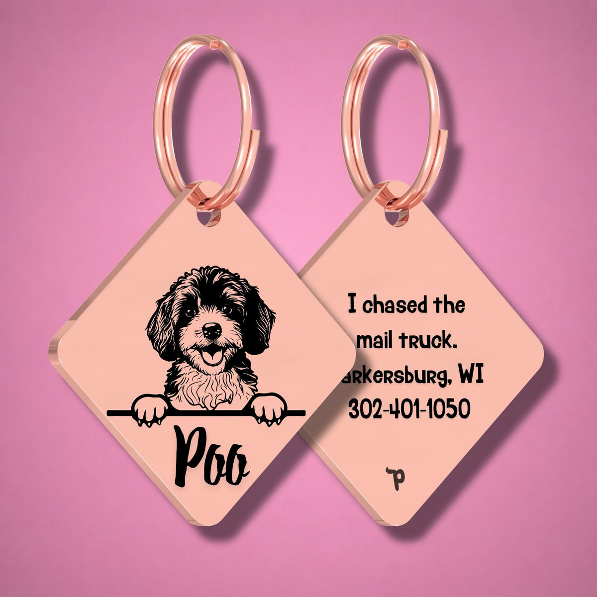 Breed Dog Tag - Cavapoo Unique Dog Tag with Peek-a-Boo Portrait