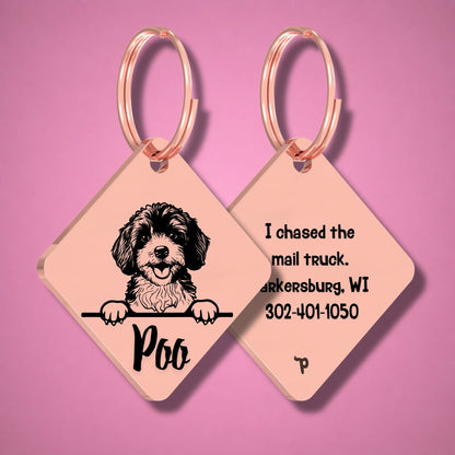Breed Dog Tag - Cavapoo Unique Dog Tag with Peek-a-Boo Portrait