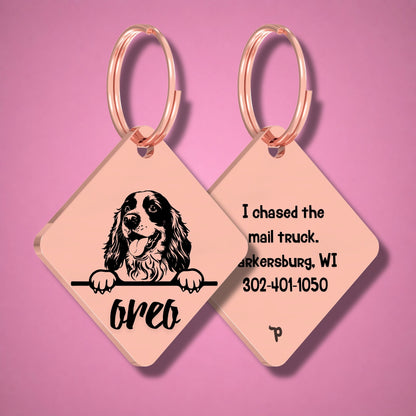 Breed Dog Tag - Cocker Spaniel Unique Dog Tag with Peek-a-Boo Portrait