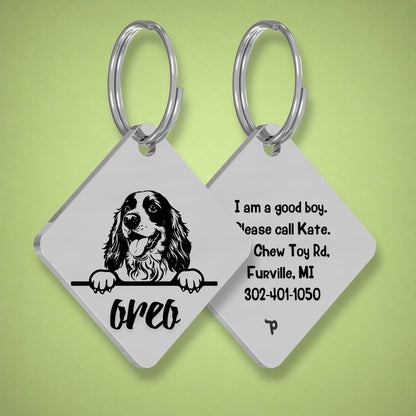 Breed Dog Tag - Cocker Spaniel Unique Dog Tag with Peek-a-Boo Portrait