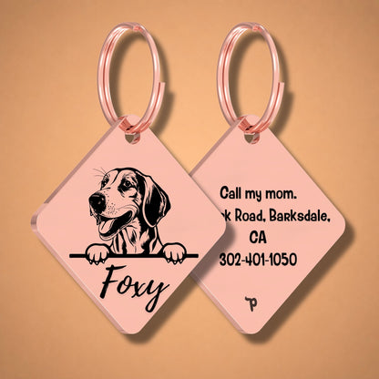 Breed Dog Tag - Foxhound Unique Dog Tag with Peek-a-Boo Portrait