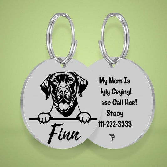 Breed Dog Tag - Golden Retriever Unique Dog Tag with Peek-a-Boo Portrait (Style 3)