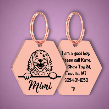 Breed Dog Tag - Goldendoodle Unique Dog Tag with Peek-a-Boo Portrait