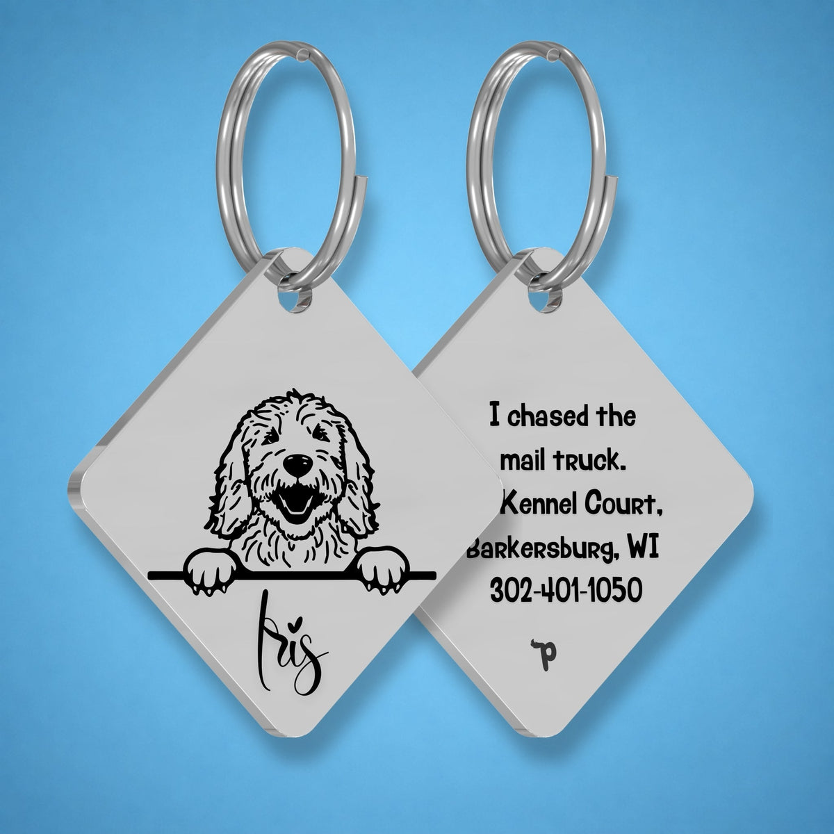 Breed Dog Tag - Goldendoodle Unique Dog Tag with Peek-a-Boo Portrait