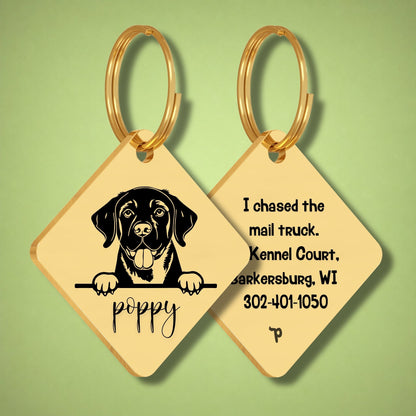 Breed Dog Tag - Labrador Retriever Unique Dog Tag with Peek-a-Boo Portrait