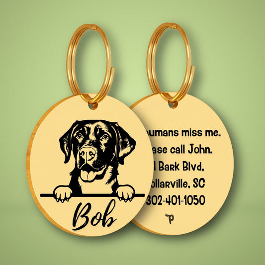 Breed Dog Tag - Labrador Retriever Unique Dog Tag with Peek-a-Boo Portrait (Style 2)