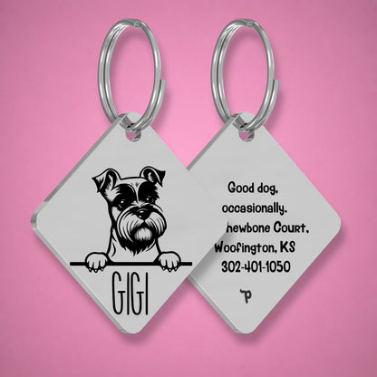 Breed Dog Tag - Miniature Schnauzer Unique Dog Tag with Peek-a-Boo Portrait