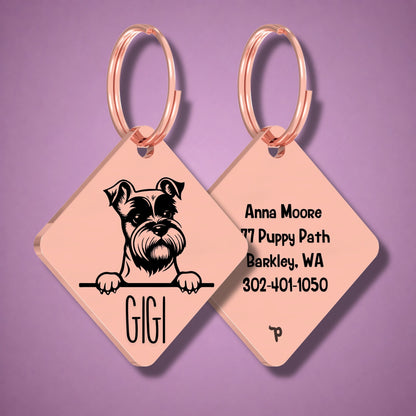 Breed Dog Tag - Miniature Schnauzer Unique Dog Tag with Peek-a-Boo Portrait