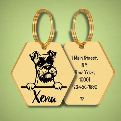 Breed Dog Tag - Miniature Schnauzer Unique Dog Tag with Peek-a-Boo Portrait